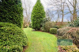 Photo 12- click for photo gallery